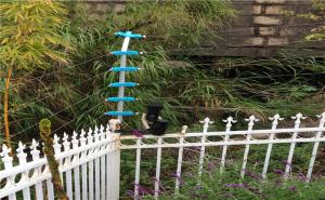 防盜報(bào)警系統(tǒng)有哪些種類？